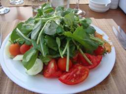 Resize of DSC02161.JPG